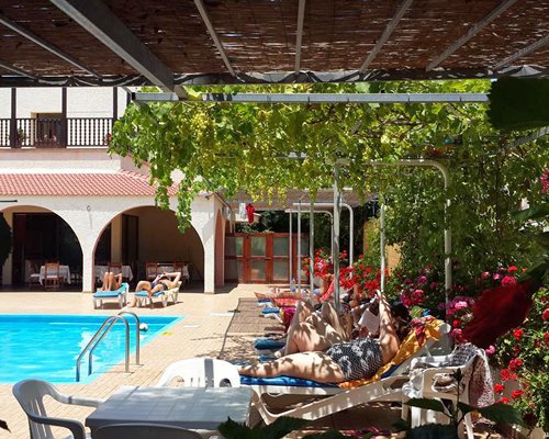 Chrysland Gardens Club